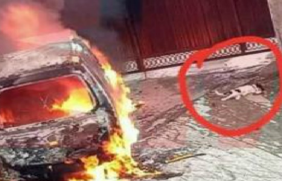 Car set ablaze, dog slaughtered in front of BJP leader's