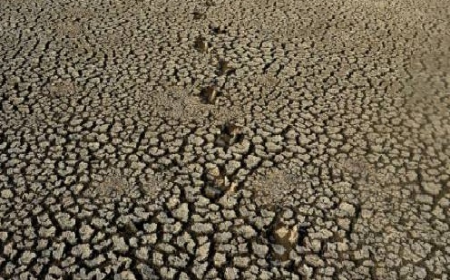 Maharashtra Father-son use lockdown time to solve water woes