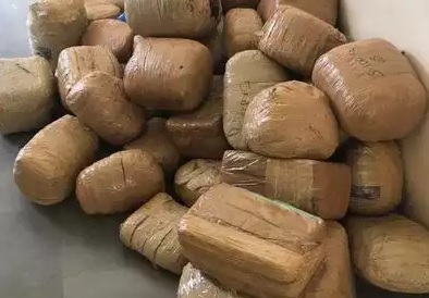 Over 3,000 kg ganja seized, 34 arrested in Odisha