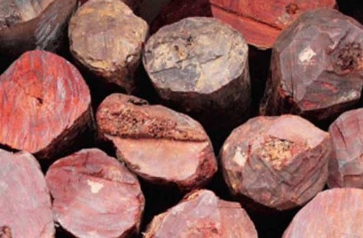 Red sanders worth Rs 2 crore seized, 5 held