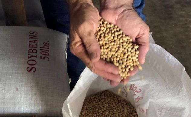 China says to exempt 'some' US soybean, pork from tariffs