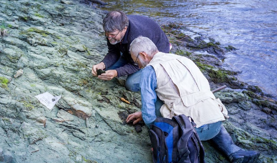 'One of world's oldest bird species discovered'