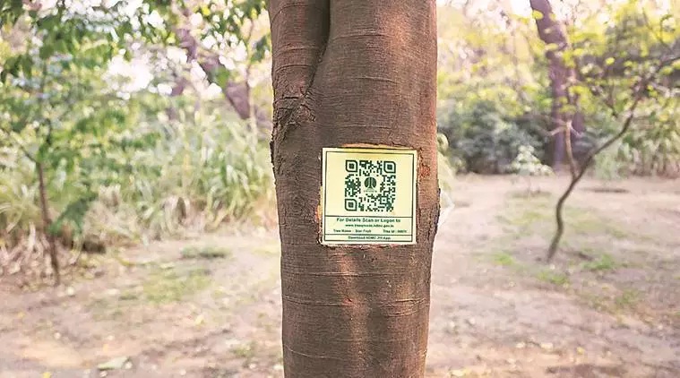 QR tags removed from 100 trees in Lodhi Gardens after forest dept notice