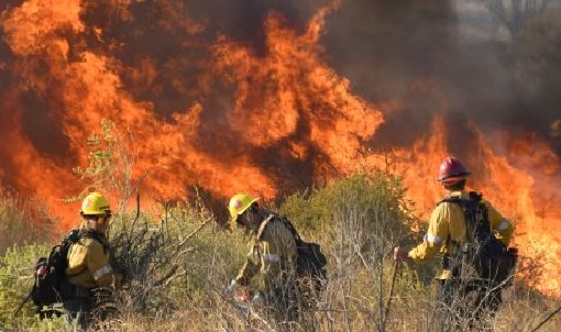 Largest California wildfire threatens marijuana-growing area