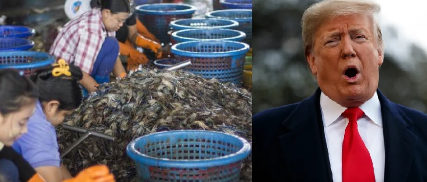 Trump hits Thai seafood industry over worker rights