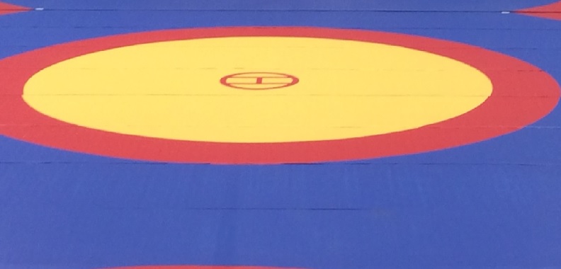 19-yr-old wrestler dies during bout in MP