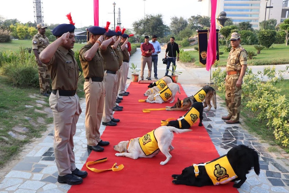 CISF canines who secured Delhi Metro retire with medals, selfies & hugs