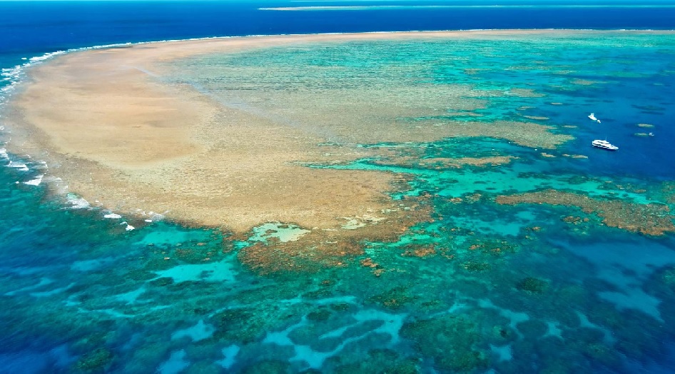 Great Barrier Reef annual mass coral spawning begins