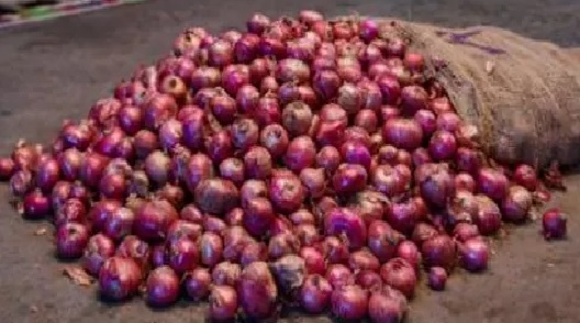 Govt extends relaxed norms for onion imports till Jan 31