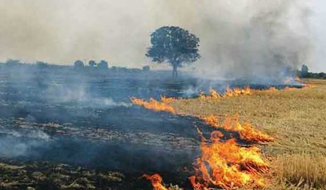 Govt will emphasize on public participation to reduce air pollution in Delhi: Gopal Rai