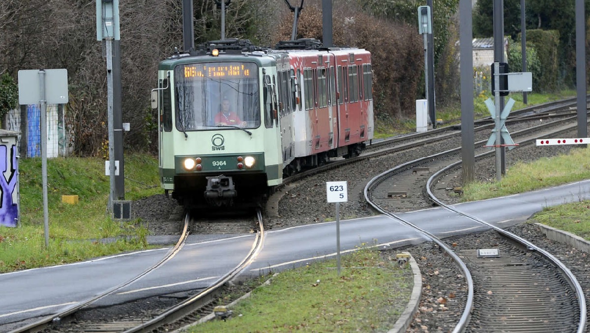 German passengers hailed for stopping 'horror' tram