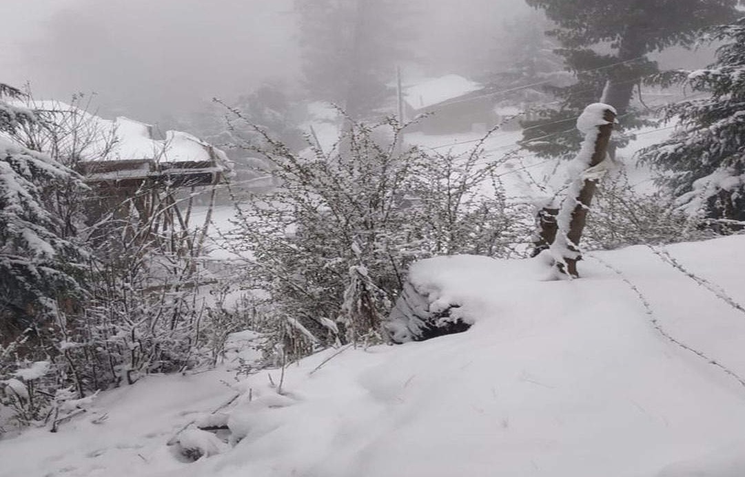 Snowfall in higher reaches of Kashmir, rain in plains