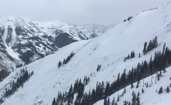 Fresh snowfall in Himachal Pradesh