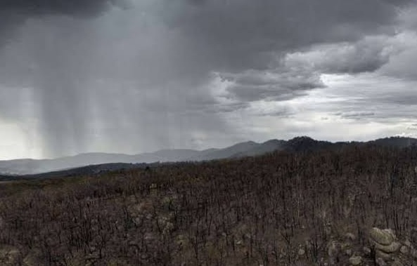 Rainstorms douse bushfires across eastern Australia