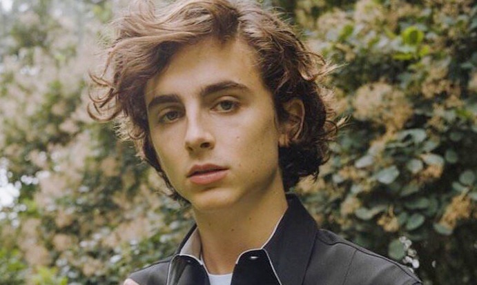 Timothee Chalamet to play Bob Dylan in biopic from James Mangold