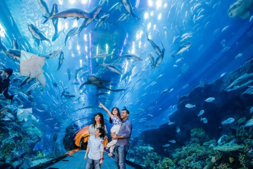 Maharashtra budget: World-class aquarium proposed in Mumbai