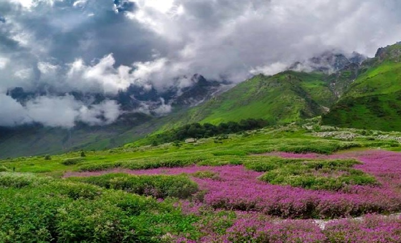 Tourism has suffered due to lockdown: Uttarakhand CM