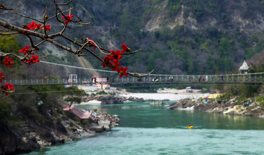 Devotees prefer to stay away from temples in Rishikesh