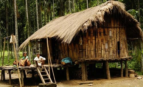 Bengal's minuscule Toto tribe hit hard by lockdown