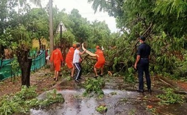 Restoration work begins in Raigad post Cyclone Nisarga