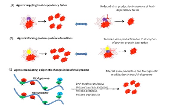 NCVTC to develop of host-directed antivirals for COVID 19