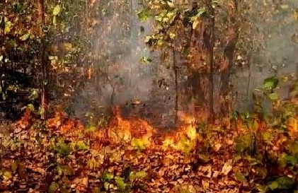 Tribal woman dies in Odisha's forest fire