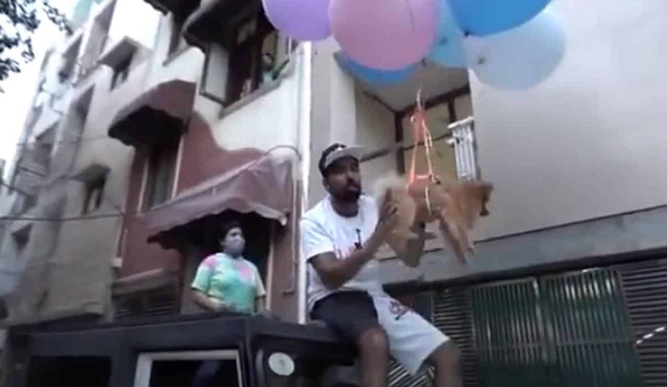 Delhi YouTuber arrested for animal cruelty after making pet fly using balloons